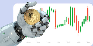 Sowa Kapitrel platforma wymiany kryptowalut - widok pulpitu nawigacyjnego